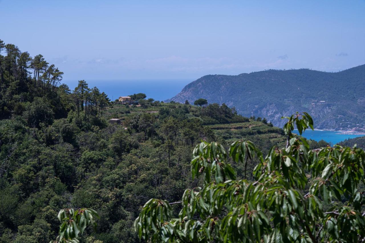 Cà Du Venuto Casa vacanze *