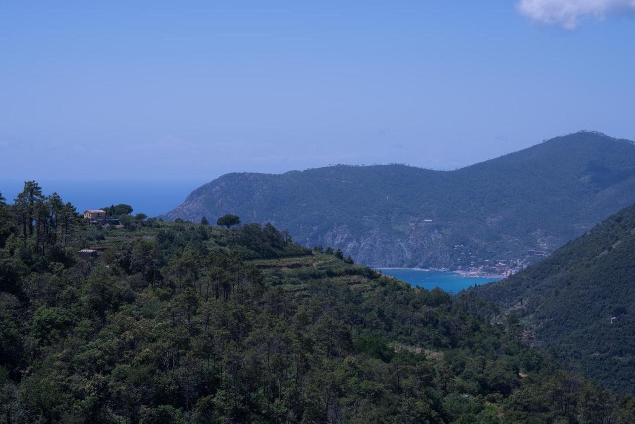 Holiday home Ca Du Venuto Vernazza
